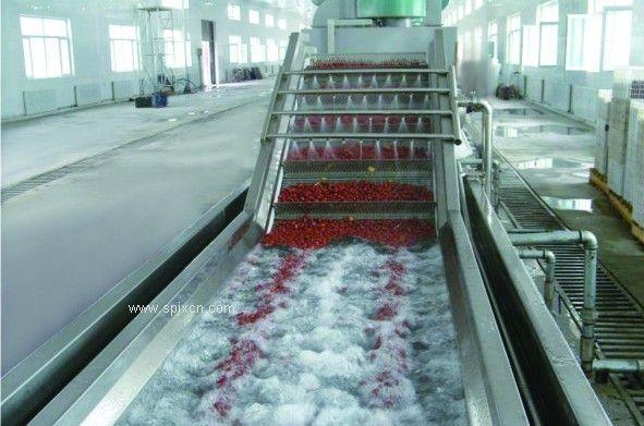 新疆大枣清洗设备 葡萄去石清洗流水线 厂家直销