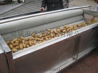土豆、芋头去皮清洗设备 毛辊清洗机 去杂机